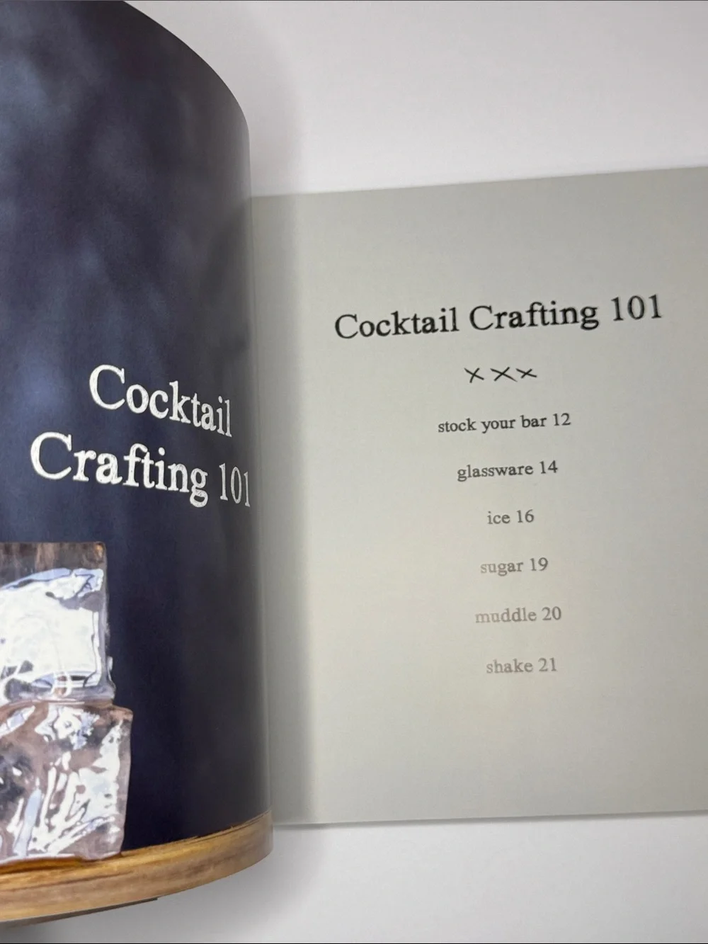 shake - A New Perspective on Coctails. Eric Prum & Josh Williams. NWOT, 2013